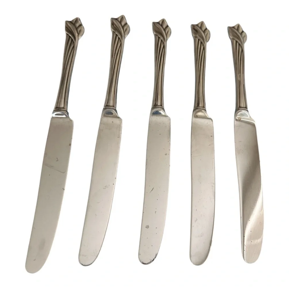 Oneida stainless steel